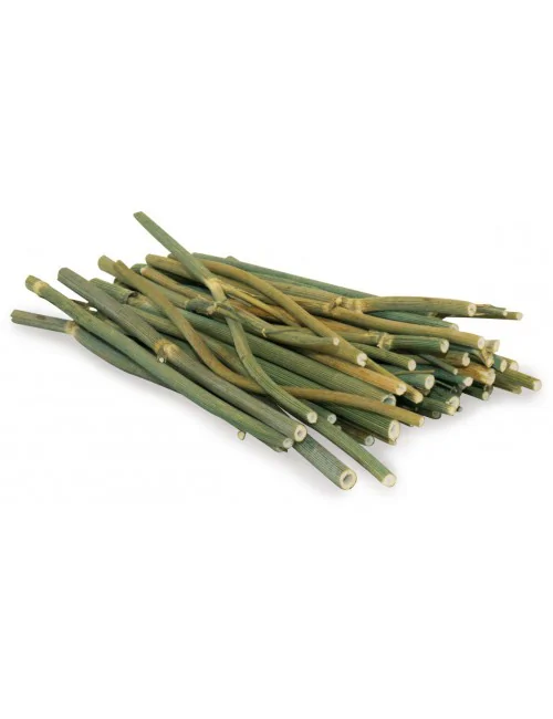 Dill-Stäbchen 15g