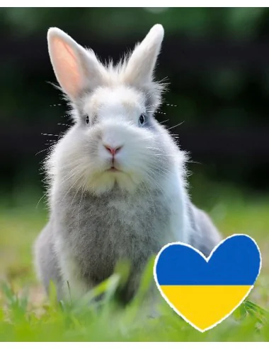 Heupäckchen hilft Tieren in der Ukraine!