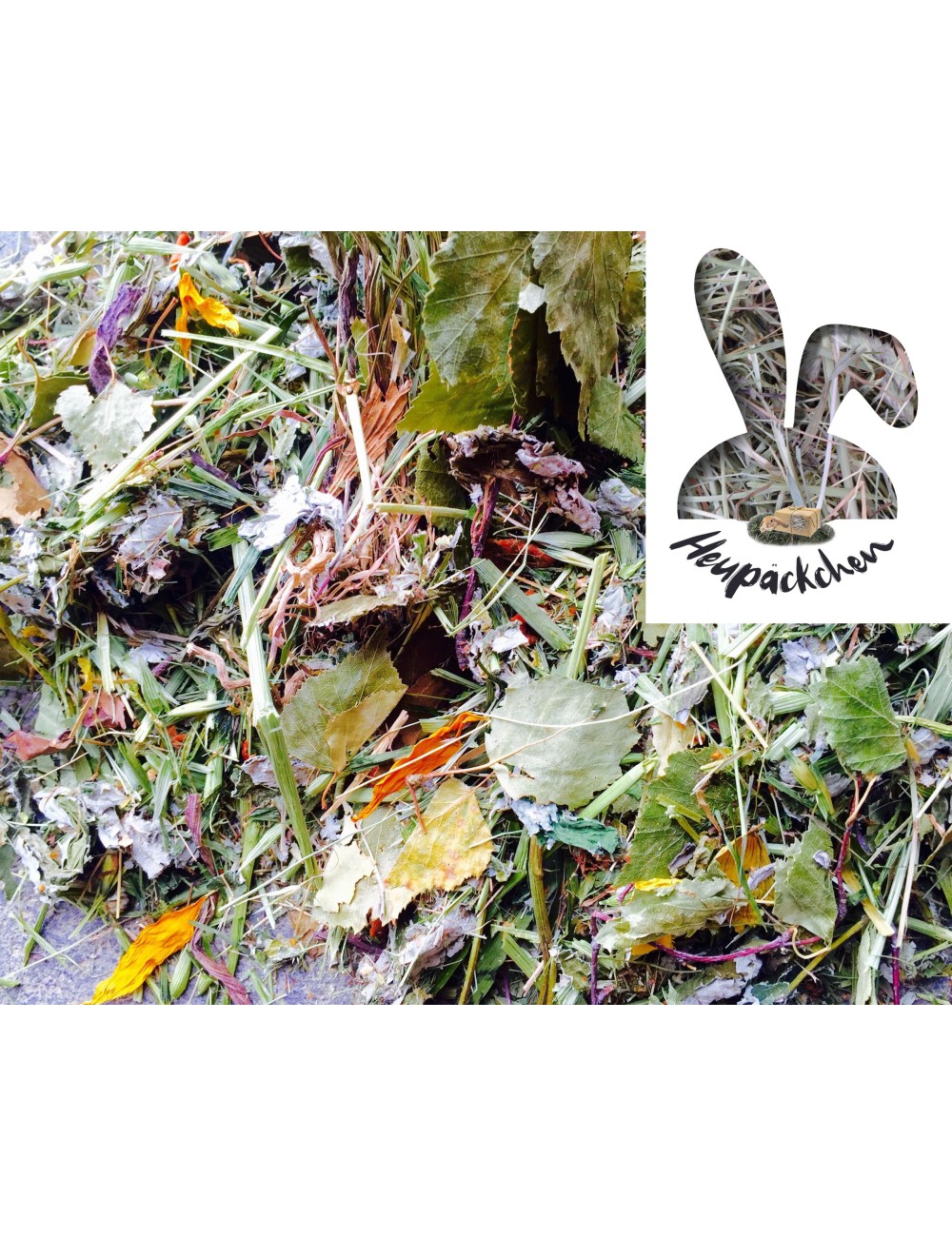 Gesunder Futtermix-Schmackofatz 500g