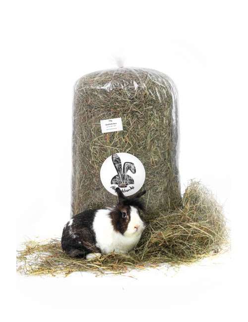 Premium-Heu Für Kaninchen Als Geschäftsmodell - Flachgau