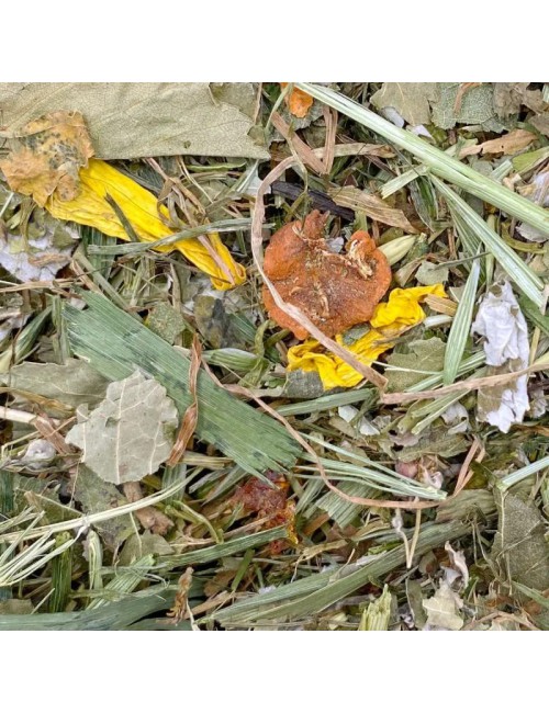 Gesunder Futtermix-Schmackofatz 500g